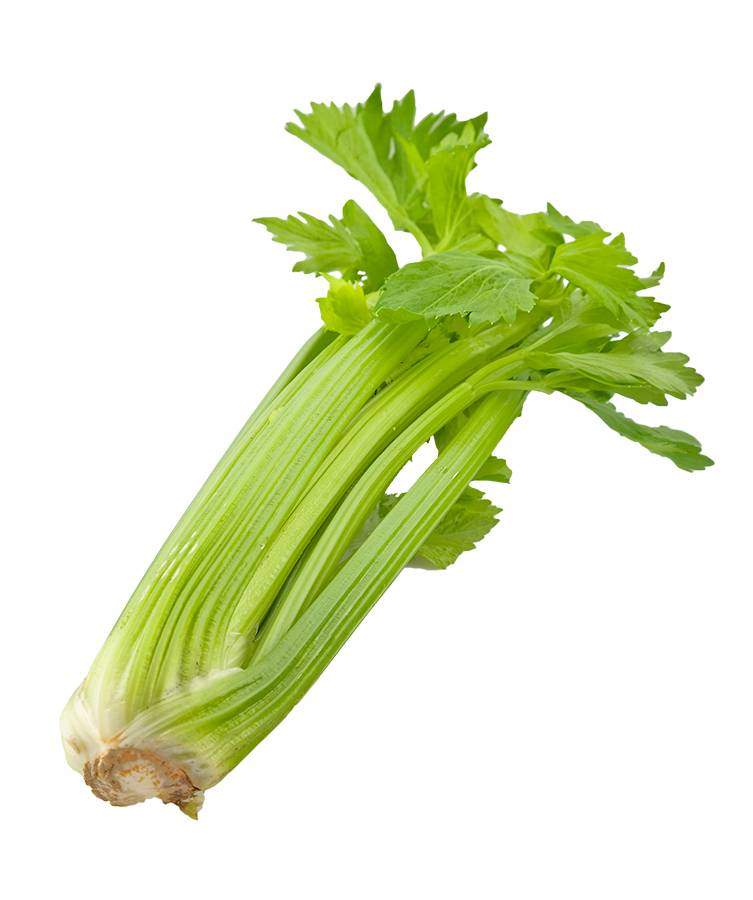 Varsiselleri.jpg